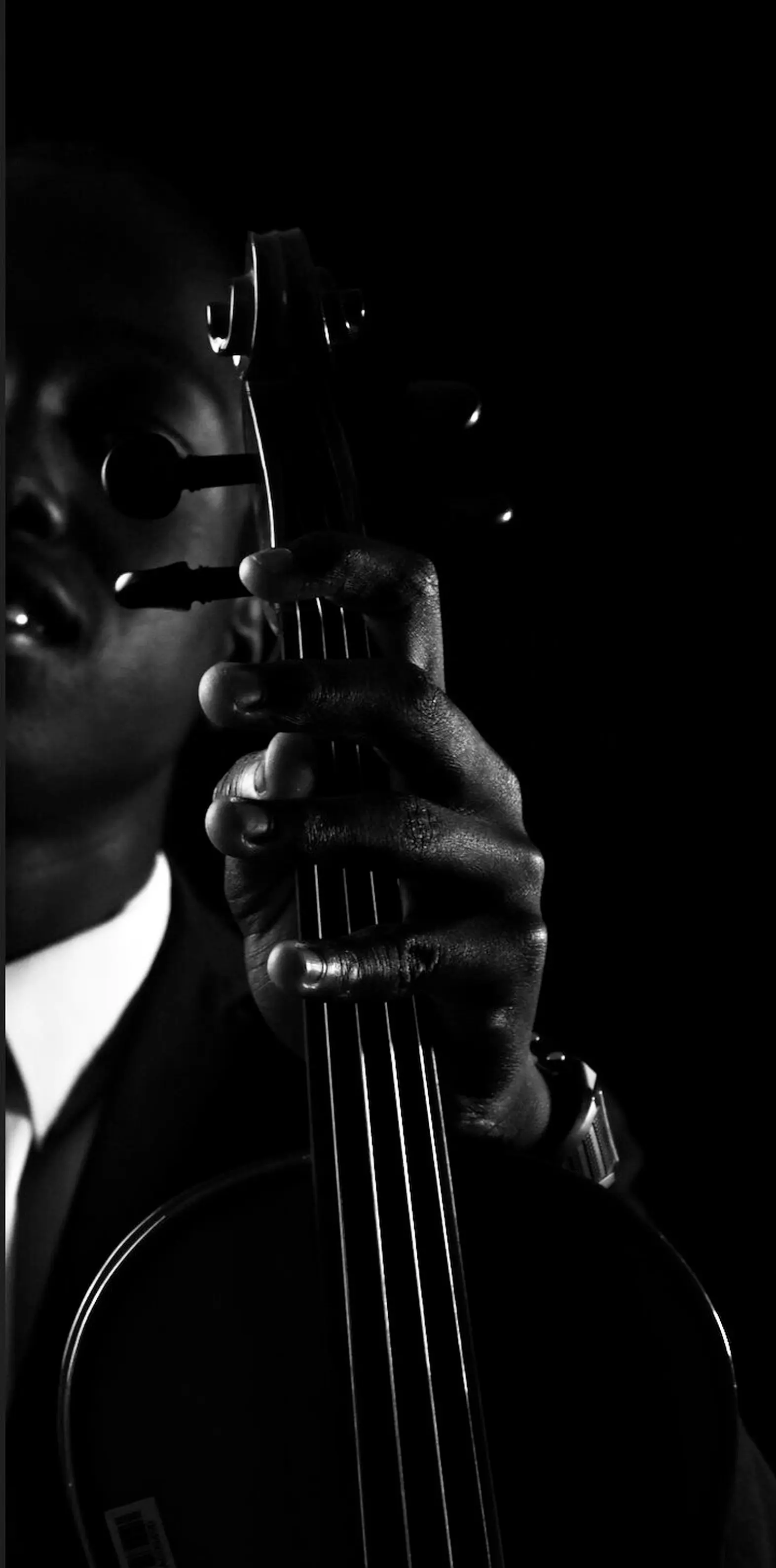 Luxury violin